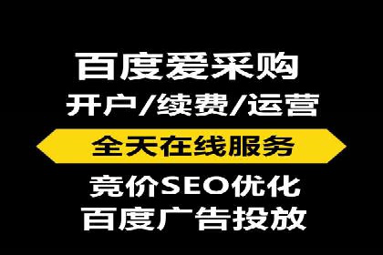SEM搜索引擎优化：成功案例解析